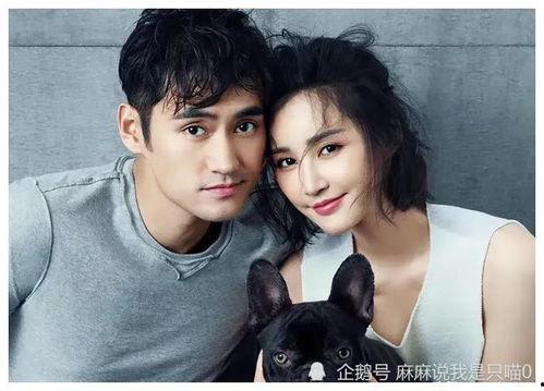 吃瓜明星娱乐圈百度云下载